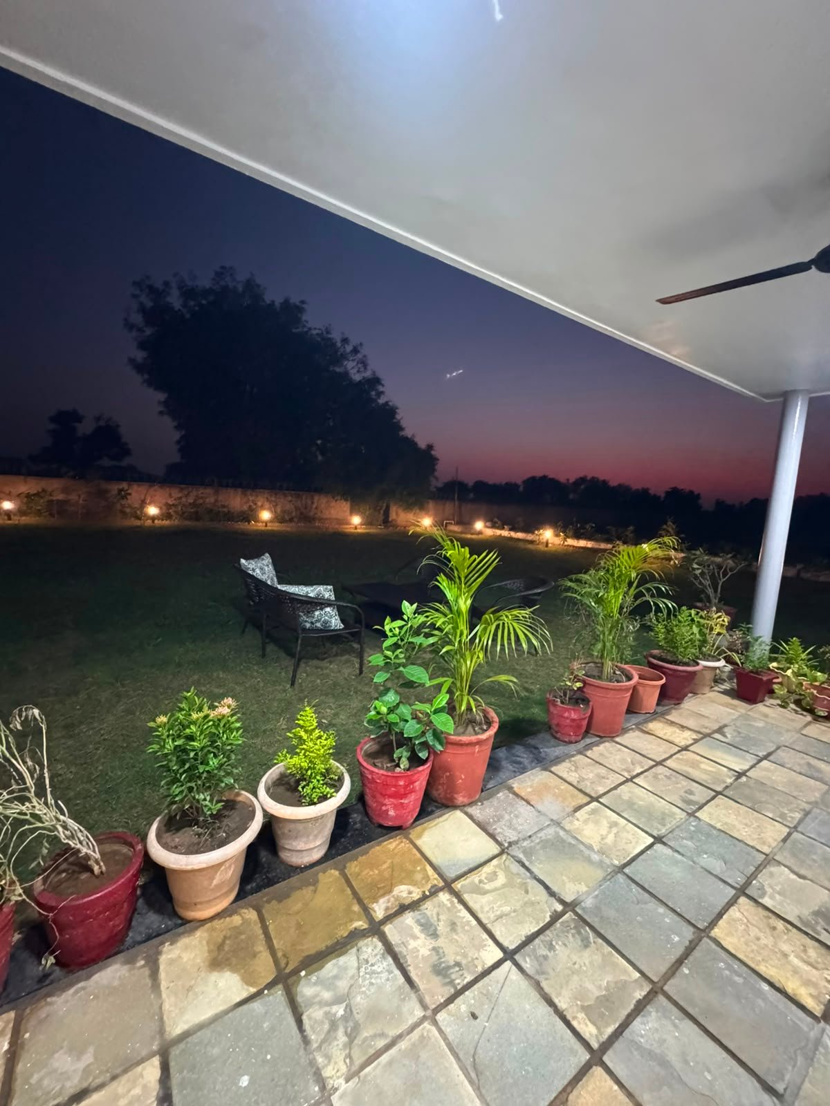 Patio and garden at dusk