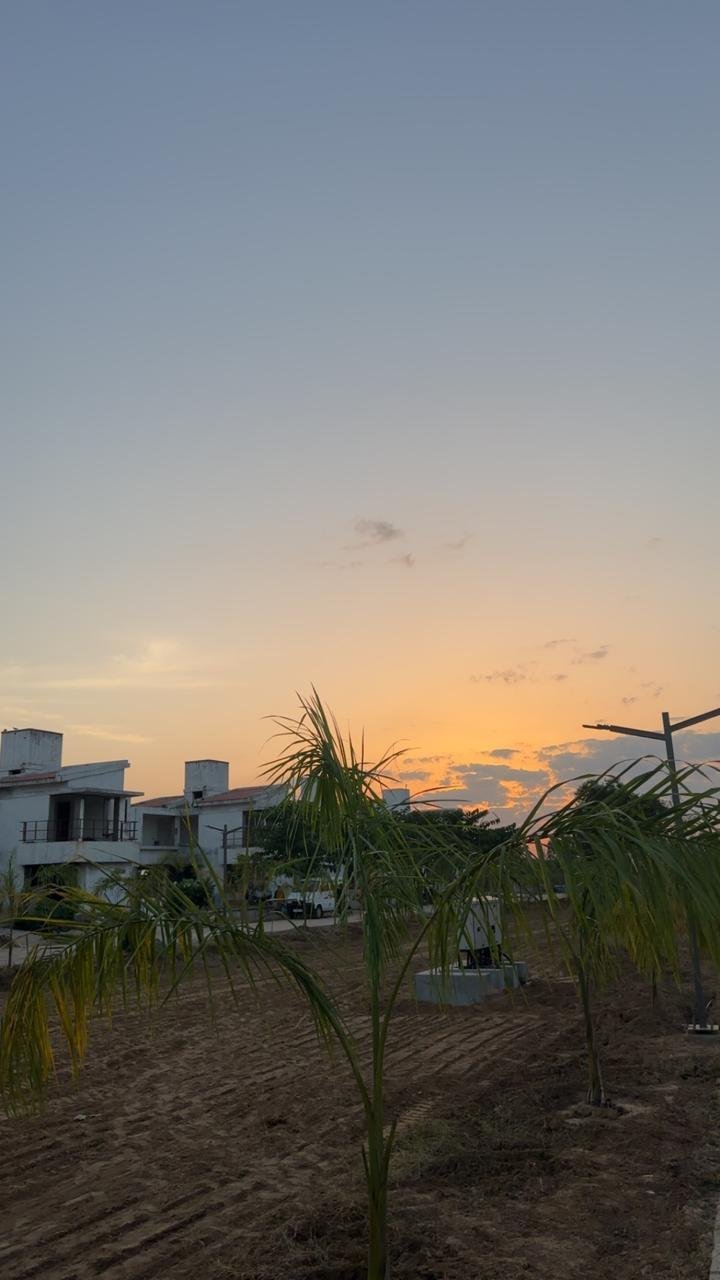 Grounds at sunset